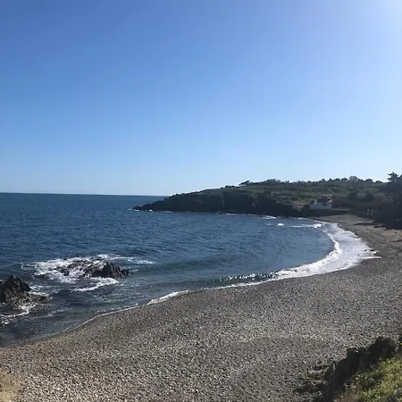 Beach Cabin Studio