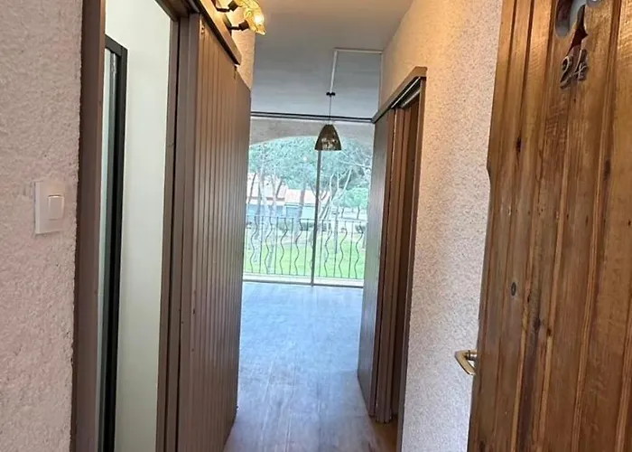 アパート Beach Cabin Studio